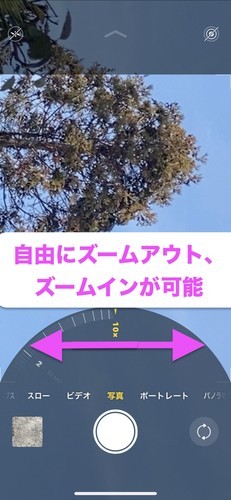 f:id:pineapple-bomb:20200111110031j:plain 望遠カメラ iPhone11