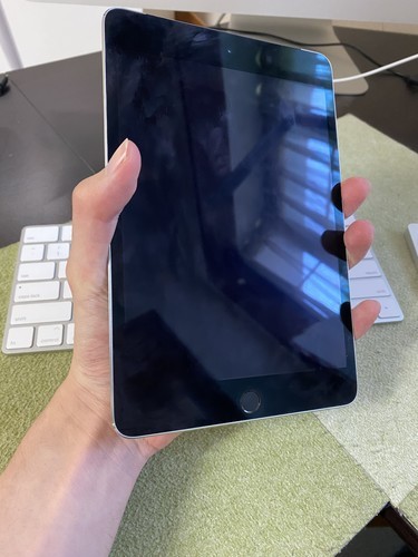 iPad mini4